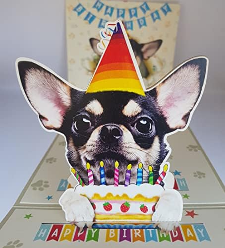 DongNaiWin Siyah Chihuahua 3D Doğum Günü Komik Pop Up Kartları, Chihuahua 3D Doğum Günü Pop Up Kartları, mutlu Doğum Günü