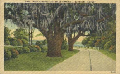 Güney Otoyolu, Florida Kartpostalı