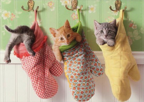 Fırın Eldivenlerinde Yavru Kedi-Avanti Komik Kedi Anneler Günü Kartı